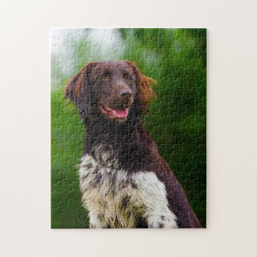 Munsterlander Dog. Legpuzzel (Verticaal)