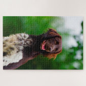 Munsterlander Dog. Legpuzzel (Horizontaal)