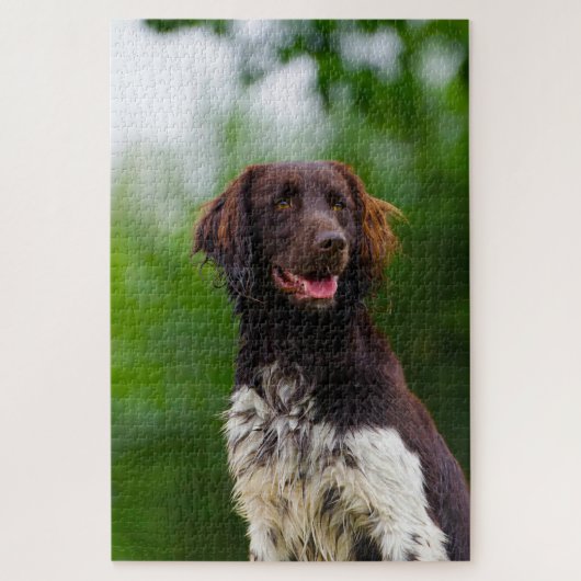 Munsterlander Dog. Legpuzzel (Verticaal)