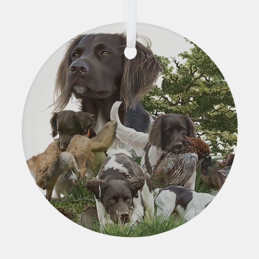 Munsterlander Glas Ornament (Achterkant)