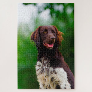 Münsterländer. Legpuzzel