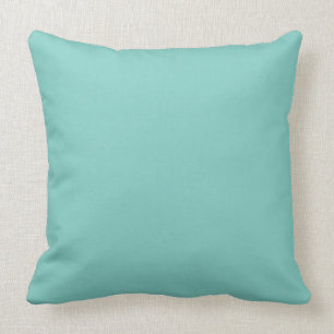 Munt Groene stevige Kleur Kussen