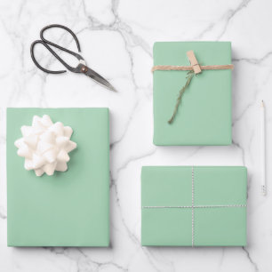 Munt Groene Wrapping Papier Bladen Inpakpapier Vel