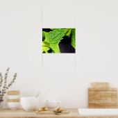 Muntbladposter Poster (Keuken)