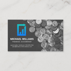 Munten Financieel Papier Logo Visitekaartje