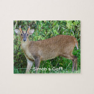 Muntjac-hert Wilde Foto Persoonlijke Legpuzzel