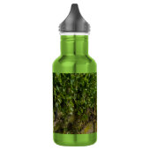Mur De Bouteille D'Eau D'Ivy (Gauche)