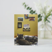 Mur de carte postale Kitty (Debout devant)