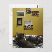 Mur de carte postale Kitty (Devant / Derrière)