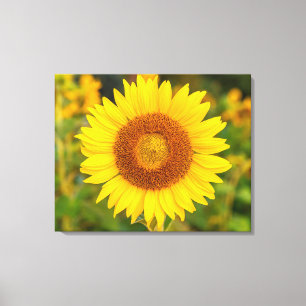 Mur de toile Art-Tournesol