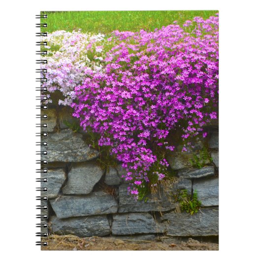 Mur en pierre et Carnet de type Phlox (Devant)
