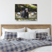 Mur en toile Art-Yellowstone Black Bear Cub (Insitu(Chambre))