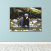 Mur en toile Art-Yellowstone Black Bear Cub (Insitu (Plancher de Bois))