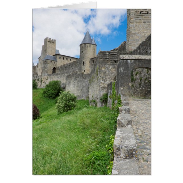 Mur fortifié de Carcassonne (Devant)