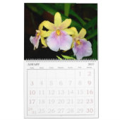 Mural 12 mois Calendrier des orchidées (Jan 2027)