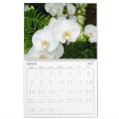 Mural 12 mois Calendrier des orchidées (Mar 2027)