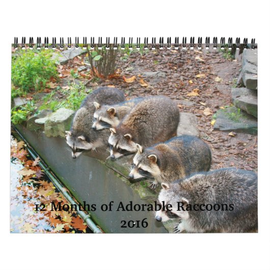 Mural 12 mois du calendrier adorable 2016 de ratons (Protection)