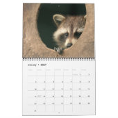 Mural 12 mois du calendrier adorable 2016 de ratons (Jan 2027)