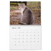 Mural 2009 aimant le calendrier sauvage de chat de Feral (Feb 2027)