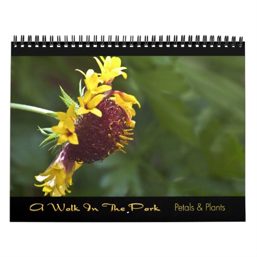 Mural 2010 calendrier - une promenade en parc (Protection)