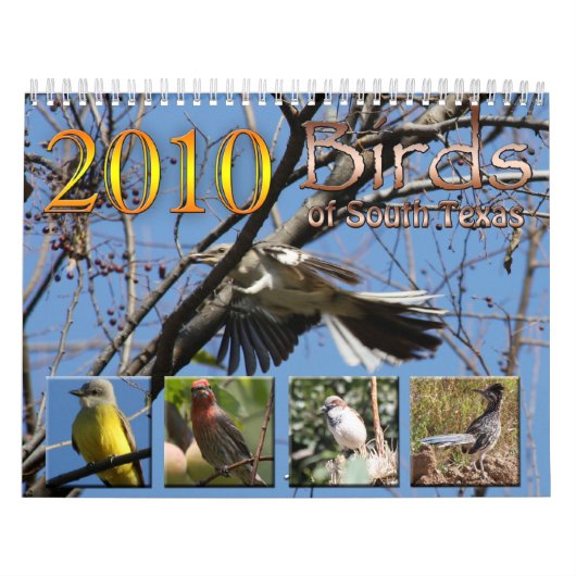 Mural 2010 oiseaux de calendrier du Texas du sud (Protection)