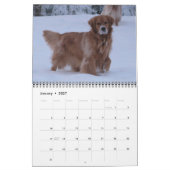 Mural 2011 - Calendrier de pin-up de pattes de (Jan 2027)