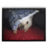 Mural 2013 calendrier 2 (Protection)