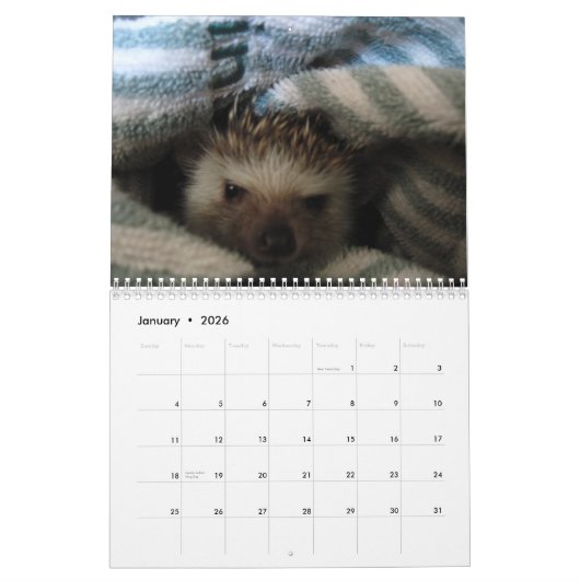 Mural 2013 calendrier 2 (Jan 2026)