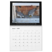 Mural 2013 calendrier - images principales de came (Mar 2027)