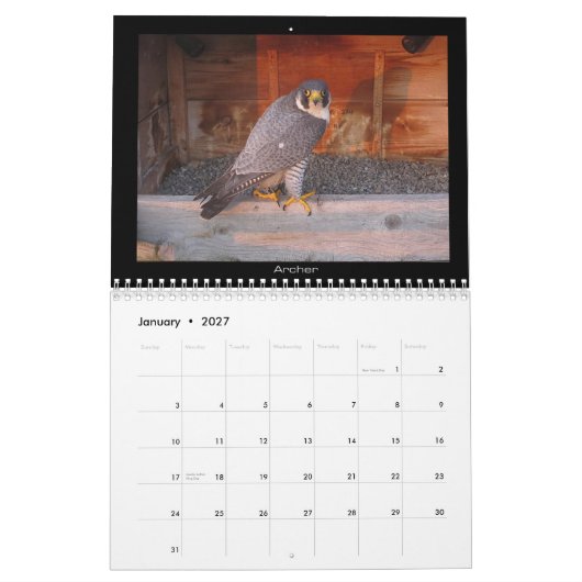 Mural 2013 calendrier - images principales de came (Jan 2027)