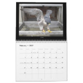 Mural 2013 calendrier - images principales de came (Feb 2027)