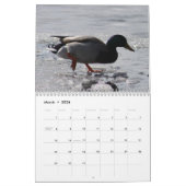 Mural 2014 canards de calendrier (Mar 2026)