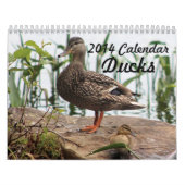 Mural 2014 canards de calendrier (Protection)
