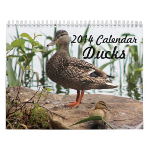 Mural 2014 canards de calendrier