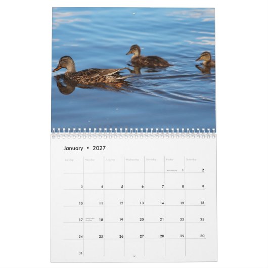Mural 2014 canards de calendrier (Jan 2027)