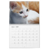 Mural 2015 calendrier avec des vacances - chats (Mar 2027)