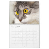 Mural 2015 calendrier avec des vacances - chats (Feb 2027)