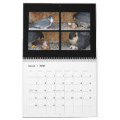 Mural 2015 calendrier - collages principaux de came (Mar 2027)
