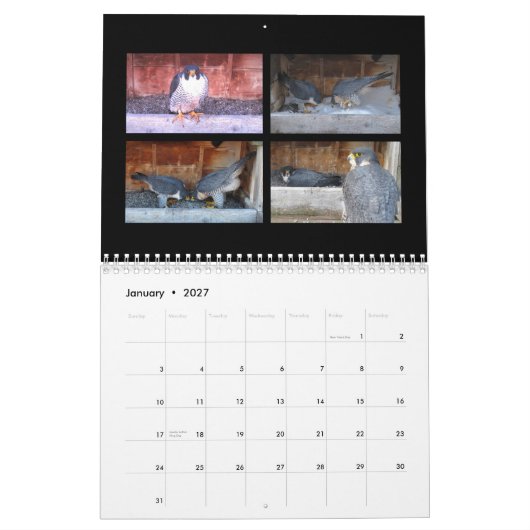 Mural 2015 calendrier - collages principaux de came (Jan 2027)