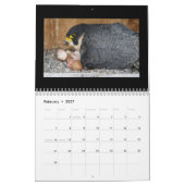 Mural 2015 calendrier - collages principaux de came (Feb 2027)
