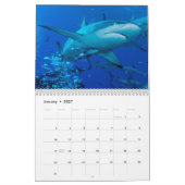 Mural 2015 requins du calendrier de mer de corail (Jan 2027)