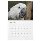 Mural 2016 calendrier des perroquets, ara, Amazone, (Mar 2026)