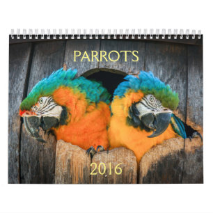 Mural 2016 calendrier des perroquets, ara, Amazone,