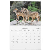 Mural 2021 Wolves 2 Calendrier de la photographie de la (Feb 2027)