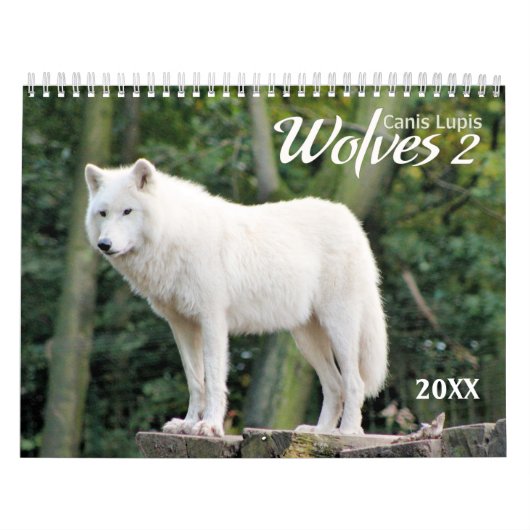 Mural 2021 Wolves 2 Calendrier de la photographie de la (Protection)