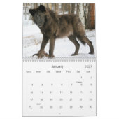 Mural 2021 Wolves 2 Calendrier de la photographie de la (Jan 2027)
