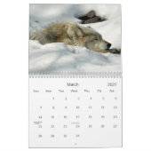 Mural 2021 Wolves 2 Calendrier de la photographie de la (Mar 2027)