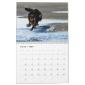 Mural 8 2016 Windhounds de soie dans le calendrier (Jan 2027)