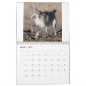 Mural 8 2016 Windhounds de soie dans le calendrier (Mar 2027)