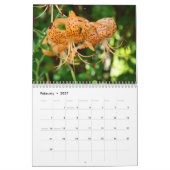 Mural AMIS ! Calendrier Lys Fleurs Cadeaux de Noël (Feb 2027)